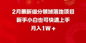 2月最新细分领域落地项目,新手小白也可快速上手,月入1W-小牛学府