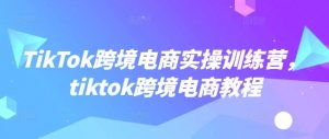 TikTok跨境电商实操训练营,tiktok跨境电商教程-小牛学府