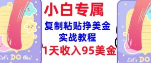 复制粘贴挣美金，0门槛，1天收入95美刀，3分钟学会，内部教程(首次公开)-小牛学府