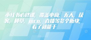 小红书必修课，覆盖电商，无人，获客，种草，mcn，直播等多个板块，看了就能干-小牛学府