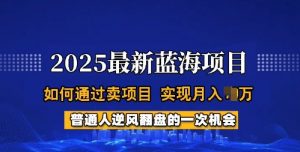 2025蓝海项目，普通人如何通过卖项目，实现月入过W，全过程【揭秘】-小牛学府