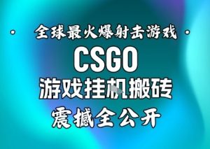 【年底大揭秘】基于全球最火爆的射击CSGO游戏挂G搬砖，日入5张+，震撼公开-小牛学府
