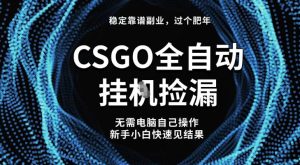 【稳定副业】全球最热门游戏CSGO全自动捡漏，最新玩法，新手小白日入5张+【揭秘】-小牛学府