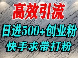 怎么打创业粉?快手求带视角精准引流创业粉,宝妈、学生群体日进500+精准流量-小牛学府