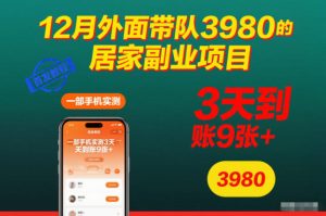 12月外面带队3980的居家副业项目,一部手机实测3天到账9张+,首发教程【揭秘】-小牛学府