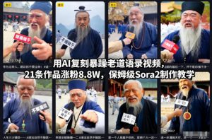 用AI复刻暴躁老道语录视频，21条作品涨粉8.8W，保姆级Sora2制作教学-小牛学府