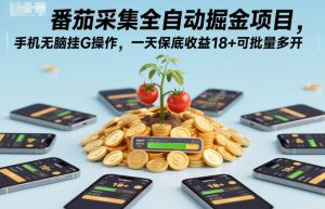 番茄采集全自动掘金项目，手机无脑挂G操作，一天保底收益18+可批量多开【揭秘】-小牛学府