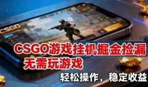 CSGO游戏挂G掘金捡漏,不需要玩游戏,操作简单,收益稳定【揭秘】-小牛学府