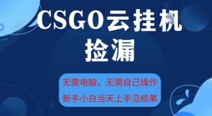 CSGO云挂G全自动捡漏,最新独家玩法,无需电脑操作,新手小白日入5张+【揭秘】-小牛学府