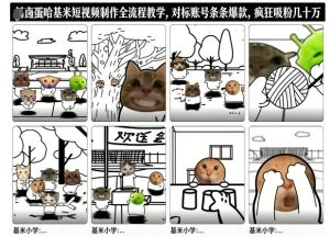 卤蛋哈基米短视频制作全流程教学，条条爆款，疯狂吸粉几十万-小牛学府