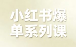 小红书爆单系列课，聚焦小红书电商全链路增长（更新）-小牛学府