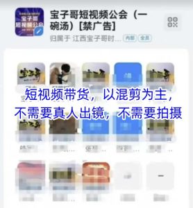 宝子哥头部团队短视频带货,以混剪为主,不需要真人出镜,不需要拍摄【更新12月】-小牛学府