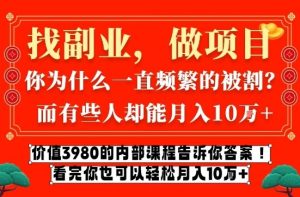 价值3980的网创内部课程，告诉你互联网创业月入10个W的秘密【揭秘】-小牛学府