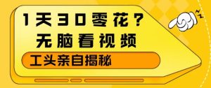 1天30零花？无脑看视频，大佬亲自揭秘-小牛学府