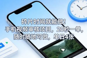 碎片时间就能做！手机视频审核项目，20秒一单，随时随地可做，单日4张+【揭秘】-小牛学府