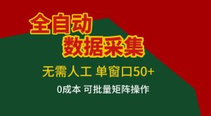 全自动数据采集项目，无需人工，单窗口可达50+收益，操作简单无难度，一个人也能轻松实现矩阵【揭秘】-小牛学府