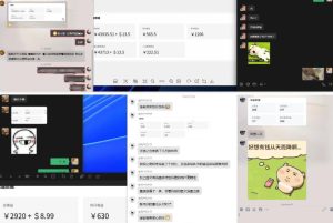 雷神加速器项目模拟器_无脑1分钟1条视频矩阵_疯狂报单打法【焚诀】-小牛学府