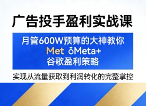 广告投手盈利实战课，月管600W预算的大神教你Meta+谷歌盈利策略，实现从流量获取到利润转化的完整掌控-小牛学府